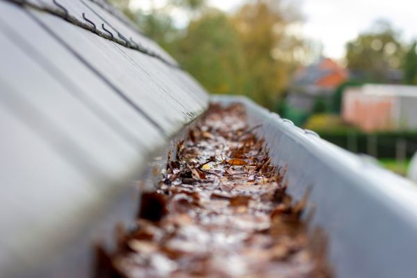 Commercial Gutter Cleaning in Palm Coast