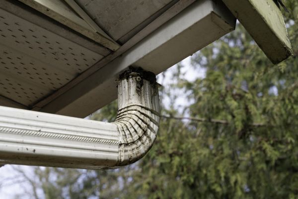 Downspout Cleaning in Palm Coast