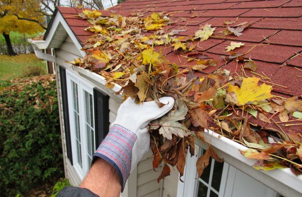 Rain Gutter Cleaning Service in Palm Coast