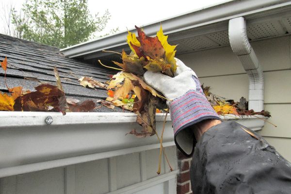 Leaf Gutter Cleaning in Palm Coast