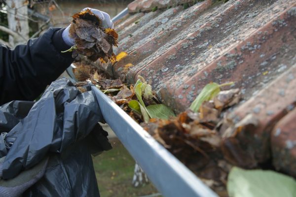 Commercial Gutter Unclogging in Palm Coast