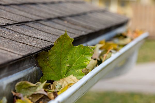 Commercial Downspout Cleaning in Palm Coast