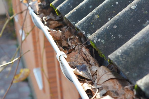 Cost of Home Gutter Cleaning in Palm Coast
