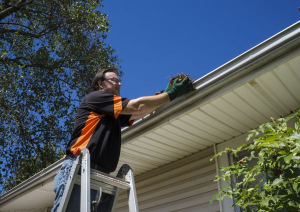 Cost of Eavestrough Clearing in Palm Coast