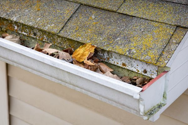 Cost of Garage Gutter Cleaning in Palm Coast