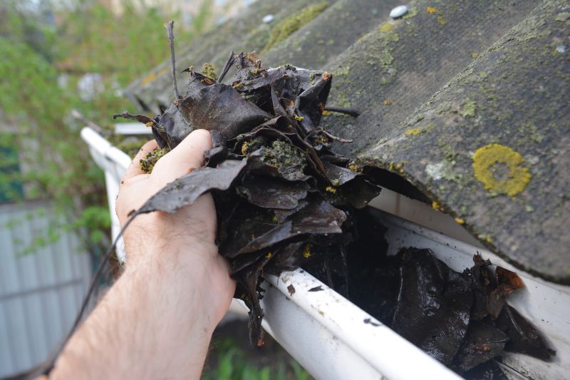 Gutter Leaves Removal detail