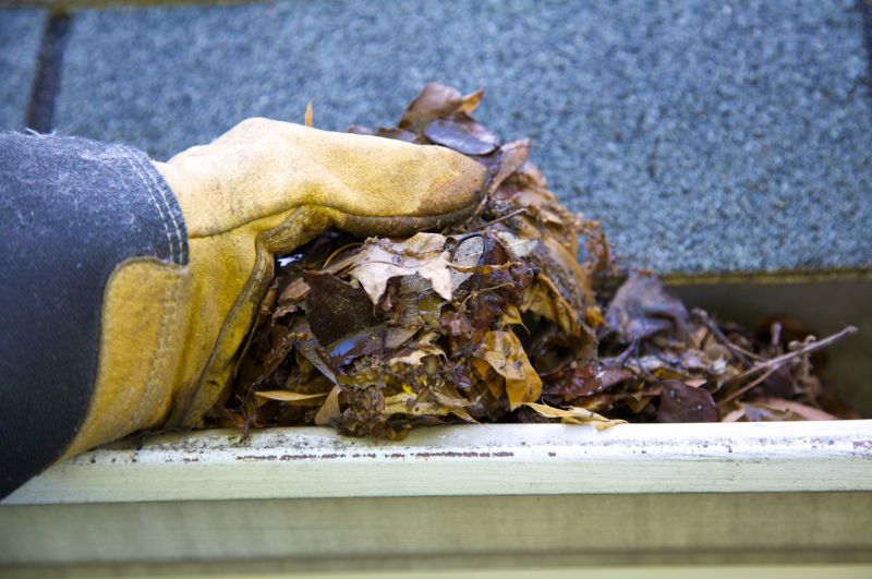 Removing Debris from Gutters