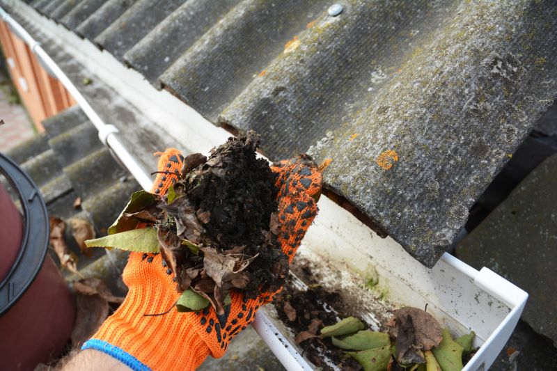 Professional Gutter Cleaning Process